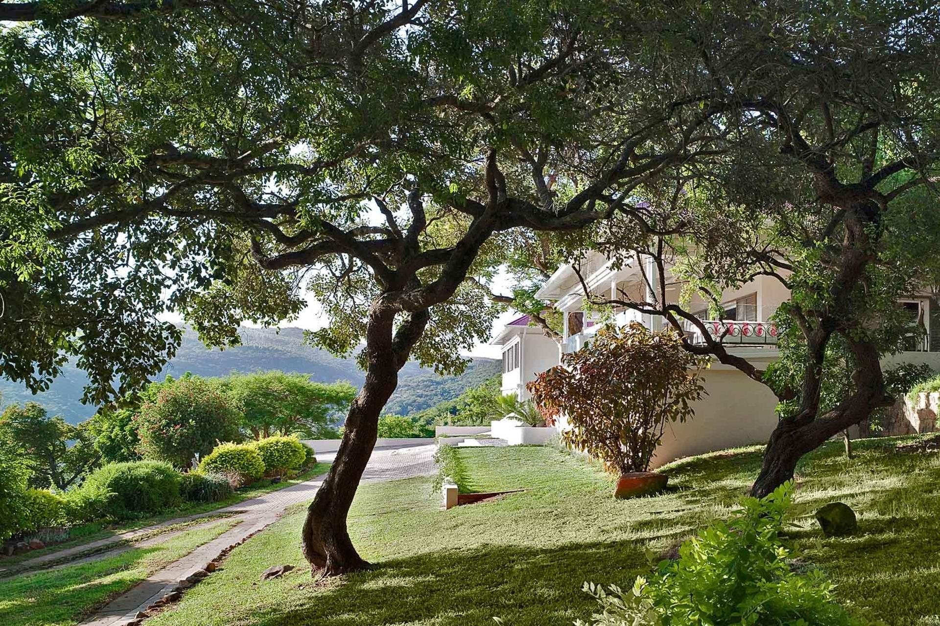 White River 61-Hectare Estate — photograph 4
