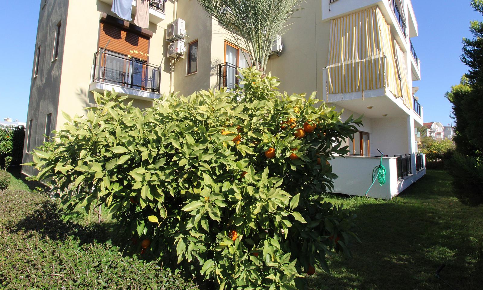 Apartments in Belek, Serik (AYT-04456) — photograph 5