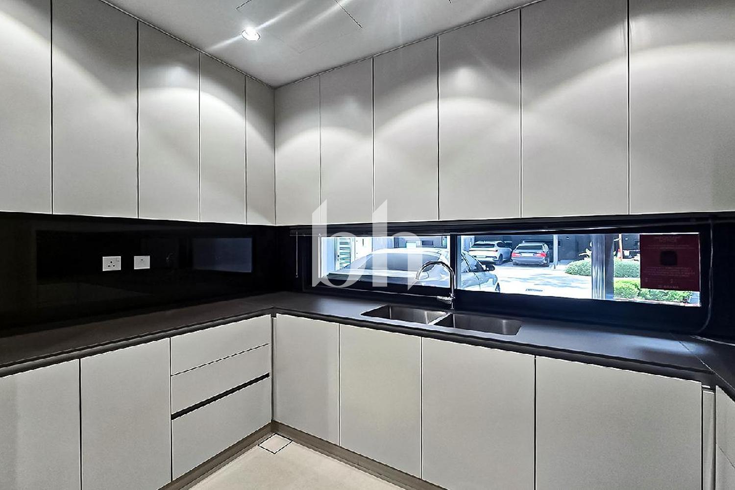 Azalea — photograph 5