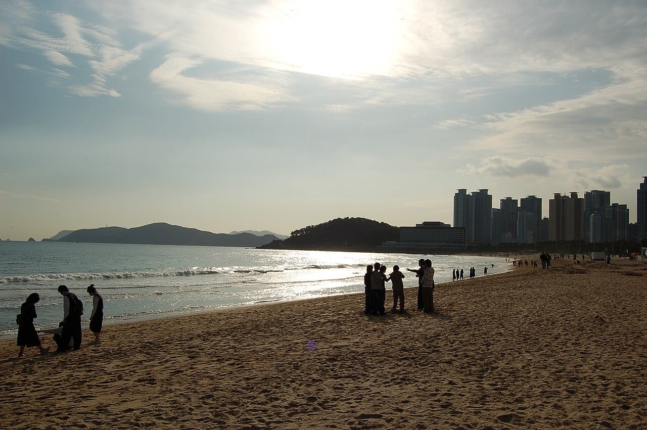 Busan City Guide