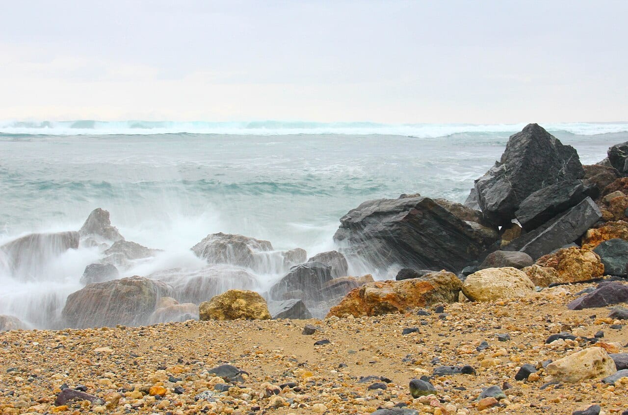 Dorado