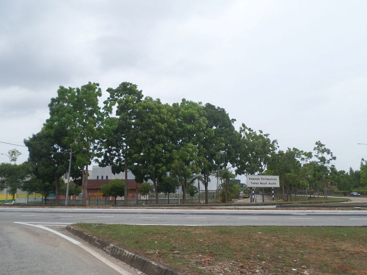Mount Austin