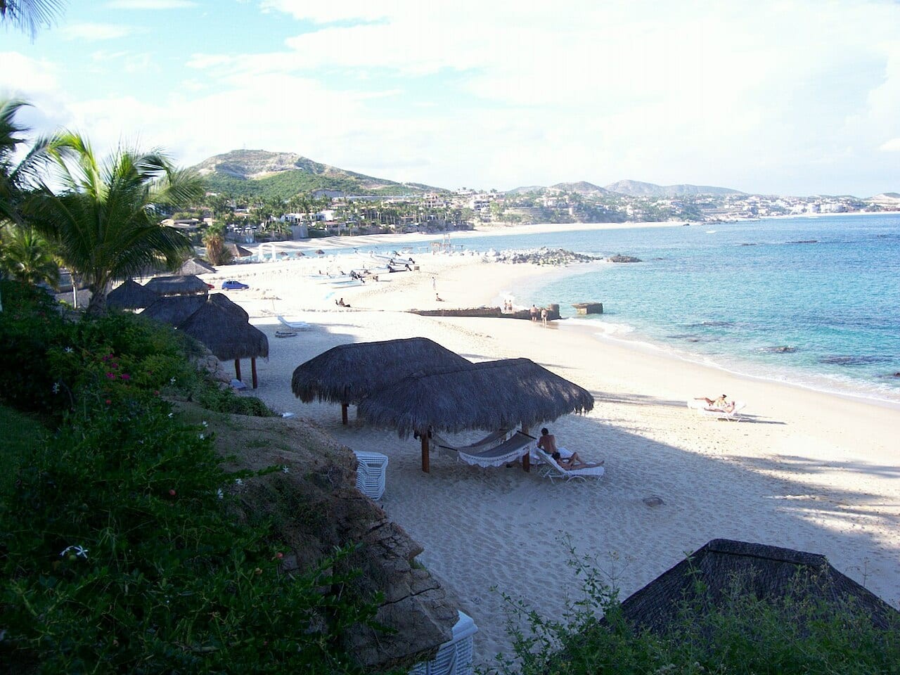 Palmilla