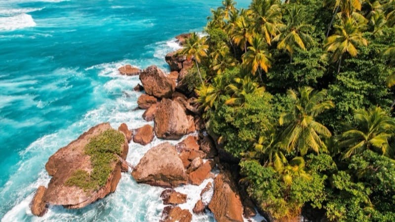 Dominican Republic Investor Guide