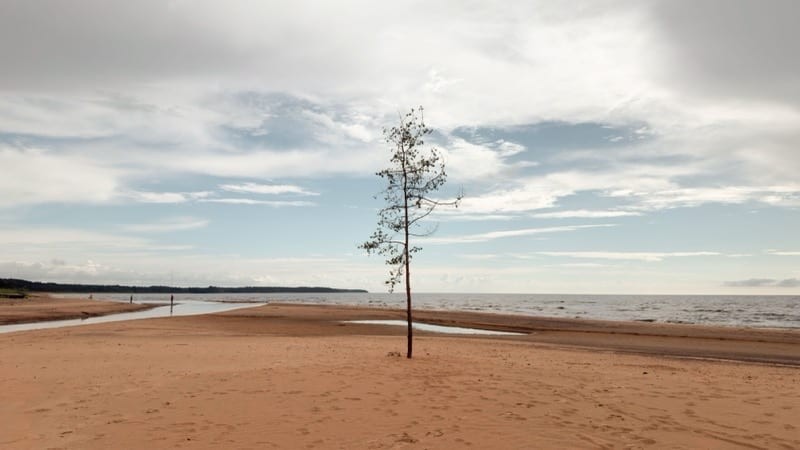 Latvia Investor Guide